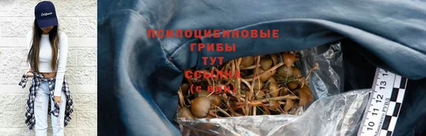 а пвп мука Пестово
