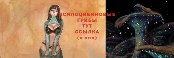 соль ск Мещовск