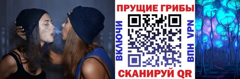 закладка  blacksprut   Галлюциногенные грибы мицелий  Пущино 